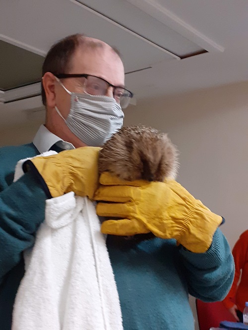 Graham Bowring with Harry the Hedgehog.