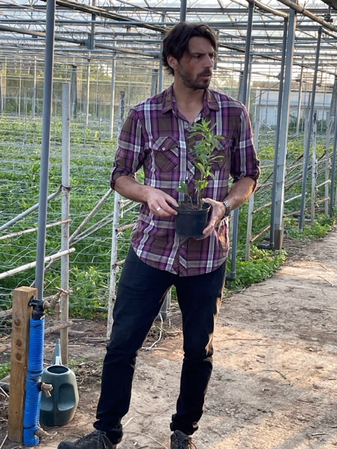 Ben in the greenhouse.