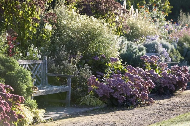 Photo of bench in beautiful flower bed.