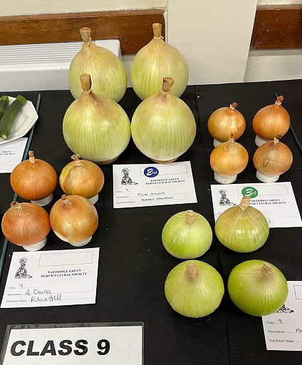 Photograph of show onions.