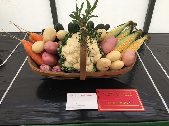 Photograph of show vegetable display.