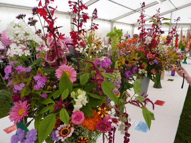 Photograph of show flower display.