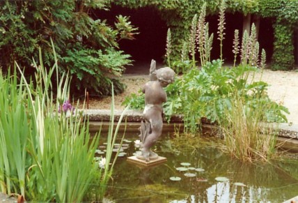 Courtyard garden.